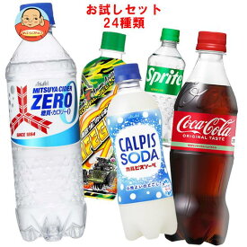 【福袋】 色々な炭酸飲料飲んでみませんか？セット24種類 コカコーラ スプライト ペプシ ウィルキンソン 三ツ矢サイダー カルピスなど 410ml～600mlペットボトル×24本入｜ 送料無料 炭酸 コーラ キリン サントリー アサヒ ポッカサッポロ 不二家