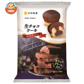 【送料無料・メーカー/問屋直送品・代引不可】丸中製菓 生チョコケーキ 6個×6袋入｜ お菓子 洋菓子 チョコケーキ 生チョコ