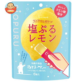 井村屋 ワンプッシュゼリー 塩ぷる レモン 90g(15g×6本)×16袋入×(2ケース)｜ 送料無料 お菓子 おやつ ゼリー 檸檬 レモン