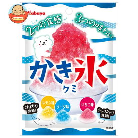 カバヤ かき氷グミ 55g×10袋入｜ 送料無料 お菓子 グミ 袋 かき氷