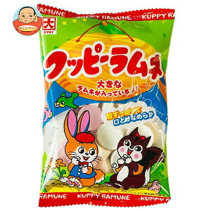 JN_C Nbs[l 64g×20ܓ×(2P[X)b  َq l ʉَq