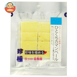 伍魚福 一杯の珍極 ひとくちカマンベール 22g×10袋入×(2ケース)| 送料無料 おつまみ チーズ 珍味