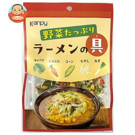 カンピー 野菜たっぷりラーメンの具(カレンダー) 40g×30個入×(2ケース)｜ 送料無料 食品 ラーメンの具 具 具材