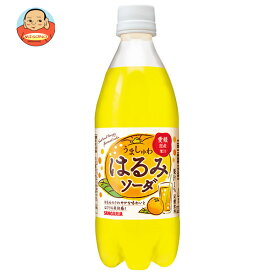 サンガリア うましゅわ はるみソーダ 500mlペットボトル×24本入×(2ケース)｜ 送料無料 炭酸 ソーダ みかん 炭酸飲料