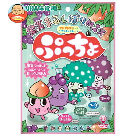 UHA味覚糖 ぷっちょ袋 4種アソート 88g×6個入｜ 送料無料 お菓子 ソフトキャンディ アソート フルーツ
