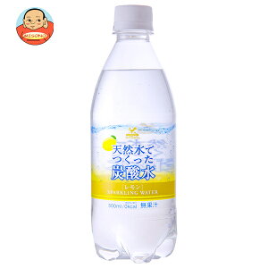 xif _ˋn VRłY_  500mlybg{g×24{×(2P[X)b  Y_ VR \[_   Xp[NO