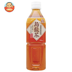 富永貿易 神戸茶房 烏龍茶 500mlペットボトル×24本入×(2ケース)| 送料無料 茶飲料 お茶 ウーロン茶 PET