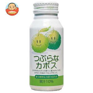 JAt[Y啪 ԂȃJ{X 190g{g×30{b  ʎ ʏ` ڂ {g