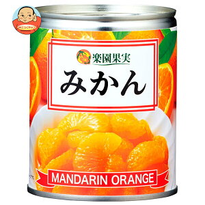楽園果実 みかん 350g×24個入| 送料無料 みかん オレンジ ミカン 果実 果物 フルーツ