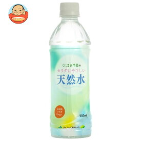 JAフーズ大分 くにさき半島のカラダにやさしい天然水 500mlペットボトル×24本入×(2ケース)｜ 送料無料 水 ウォーター PET ペットボトル 天然水
