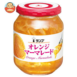 An^ IW }[}[h 380gr×12×(2P[X)b  ʐHi W r }[}[h