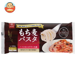 ͂΂ pX^ ۖ˃^Cv 300g×10ܓb  ʐHi  pX^ 