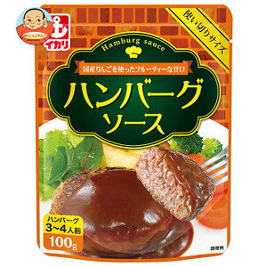 CJ\[X no[O\[X 100g×10ܓb  \[X no[O Ì g؂TCY 3`4lO