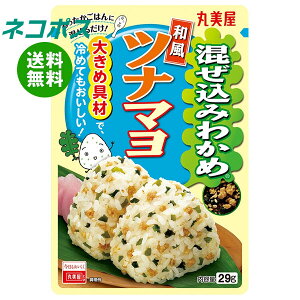 lR|X ۔ ݂킩 aci} 29g×10ܓb S ʐHi  ӂ肩 ݂͂̑f