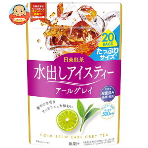 O_ g oACXeB[ A[OC (4g×20)×20ܓb   TB eB[obO 500ml