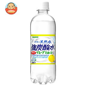サンガリア 伊賀の天然水 強炭酸水 グレープフルーツ 500mlペットボトル×24本入｜ 送料無料 炭酸飲料 スパークリング 天然水