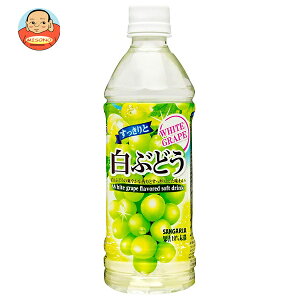 TKA ƔԂǂ 500mlybg{g×24{×(2P[X)b  ʏ` ʎ Ԃǂ O[v PET