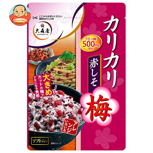 大森屋 カリカリ梅赤しそ 40g×10袋入| 送料無料 梅 うめ ウメ しそ ふりかけ クエン酸 赤紫蘇