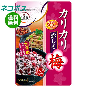 lR|X X JJ~Ԃ 40g×10ܓb S ~  E  ӂ肩 NG_ Ԏh