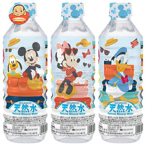 �u���{�� �f�B�Y�j�[ �V�R�� 500ml�y�b�g�{�g��×24�{���b �������� �f�B�Y�j�[ �L�����N�^�[ ��