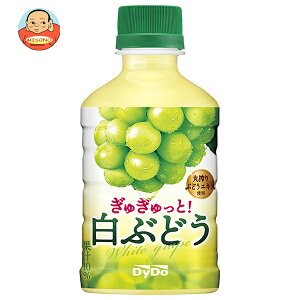 _Ch[ ガ!Ԃǂ 280mlybg{g×24{b  Ԃǂ O[v W[X NG_ ʏ`