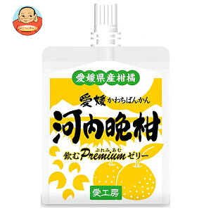 愛工房 飲むぷれみあむゼリー 河内晩柑 180gパウチ×30本入×(2ケース)| 送料無料 果実飲料 みかん ゼリー飲料 河内晩柑