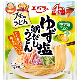 [ポイント5倍+200ポイント！7/11(金)1時59分まで全品対象エントリー&購入]エバラ食品 プチッとうどん ゆず塩鯛だしうどん (22g×4個)×12袋入｜ 送料無料 液体調味料 ポーション めん用 タレ