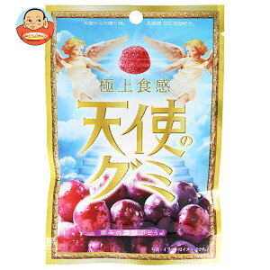 ACfApbP[W Vg̃O~ b݂̔ZԂǂ 40g×10ܓb  َq O~  O[v