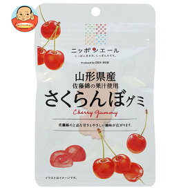 JA全農 ニッポンエール 山形県産さくらんぼ グミ 40g×10袋入｜ 送料無料 お菓子 グミ 国産 日本産 全農
