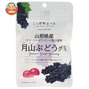 JAS_ jb|G[ R`YRԂǂ O~ 40g×10ܓ×(2P[X)b  َq O~ Y {Y S_