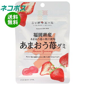 �l�R�|�X JA�S�_ �j�b�|���G�[�� �������Y���܂��� �O�~ 40g×10�ܓ��b �S���������� ���َq �O�~ ���Y ���{�Y �S�_