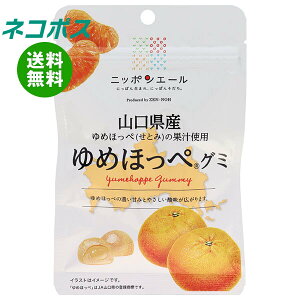 lR|X JAS_ jb|G[ RY߂ق O~ 40g×10ܓb S َq O~ Y {Y S_