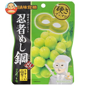 UHAo E҂߂| }XJbg 45g×10ܓ×(2P[X)b  n[hO~ EҎ_CGbg O[v