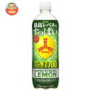 アサヒ飲料 三ツ矢 スーパーストロングレモン 570mlペットボトル×24本入×(2ケース)｜ 送料無料 三ツ矢 レモン 檸檬 フルーツ 強炭酸