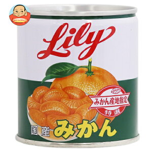 [R[|[V Lily [݂̂ 5 295g×24×(2P[X)b  ʋl ʕ َqޗ ~J