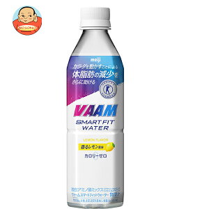  VAAM(@[) X}[gtBbgEH[^[ 郌yیpHi ہz 500mlybg{g×24{b  X|[chN J[[ gNz MǑ΍ meiji