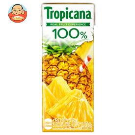 キリン トロピカーナ 100% パインアップル 250ml紙パック×24本入｜ 送料無料 果実飲料 パインアップル 果汁100％ 紙パック パイナップル