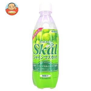 ����{���_���� �X�R�[�� �V���C���}�X�J�b�g 500ml�y�b�g�{�g��×24�{��×(2�P�[�X)�b �������� �Y�_���� ���� PET �}�X�J�b�g Skal