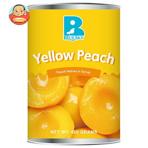 u[XJC CG[s[`(n[t) 4 420g×24×(2P[X)b  ʋl u[x[ t[c