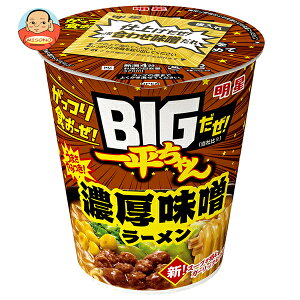 Hi BIG!ꕽ ZX[ 97g×12b  [ Jbv CX^g 