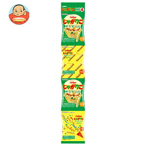 Jr[ Ⴊ肱 T_ bits4 56g×12ܓ [J[ ≮b  َq XibNَq Ⴊ WKR