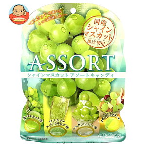 { VC}XJbg A\[g LfB 85g×10ܓb  َq    Y ʏ` }XJbg t[c LfB[