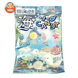 { C̃\[_CANDY 80g×10ܓb  َq    t[c t[cLfB[ ʏ` \[_ {c Agi R{