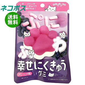 lR|X { KɂイO~ O[v 30g×6ܓb S َq O~  ʏ`  GAC ɂイO~ O[v