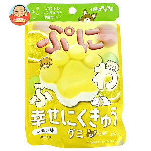 { KɂイO~  30g×6ܓb  َq O~  ʏ`  GAC ɂイO~ 