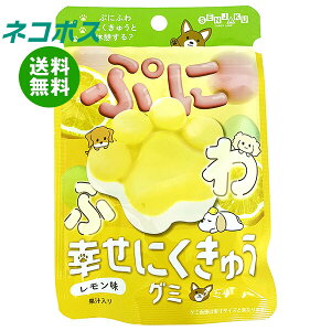 lR|X { KɂイO~  30g×6ܓb S َq O~  ʏ`  GAC ɂイO~ 