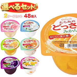  ݂̂ǂ Iׂ2P[XZbg 230g×48(24×2){b  [[ ǂ I Mtg َq  _CGbg t[c[[