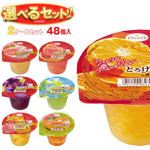  Ƃ낯閡킢 J Iׂ2P[XZbg 200g×48(24×2){b  [[ ǂ I Mtg َq  _CGbg t[c[[