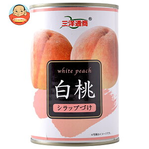 Omʏ  425g×24×(2P[X)b  ʋl t[c ʎ  