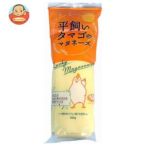 ۘa ^}S̃}l[Y 300g×24{b  wZH  Hi }l[Y  A~m_sgp